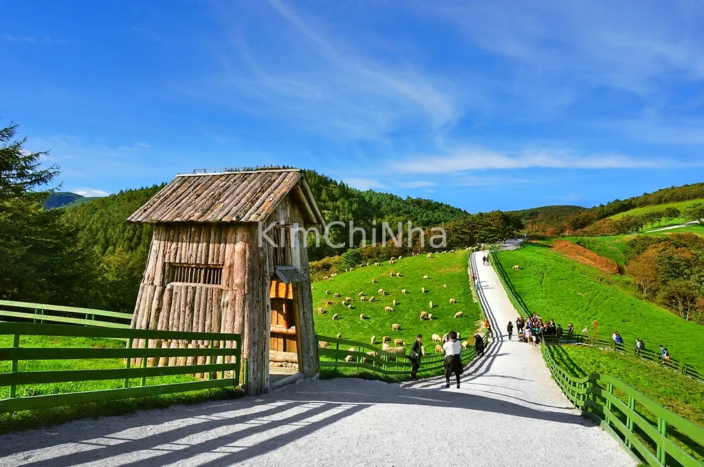 Nông trại bầu trời Hoenggye với những tua bin gió khổng lồ