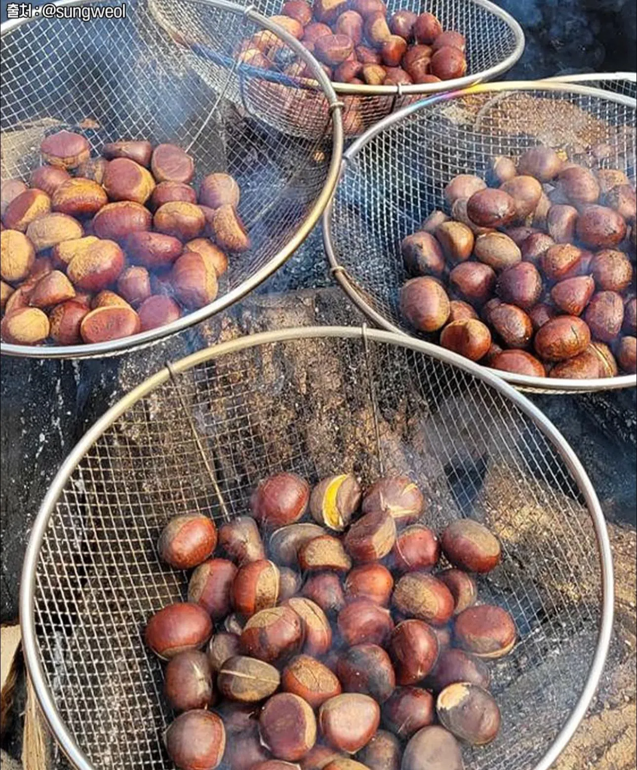 Lễ hội hạt dẻ nướng Gongju: Sưởi ấm chiếc bụng đói bằng hương vị ngọt ngào nhất xứ Hàn 🌰🔥