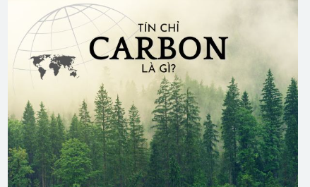 Tín chỉ carbon là gì? Cơ hội vàng cho Việt Nam trong cuộc đua giảm phát thải