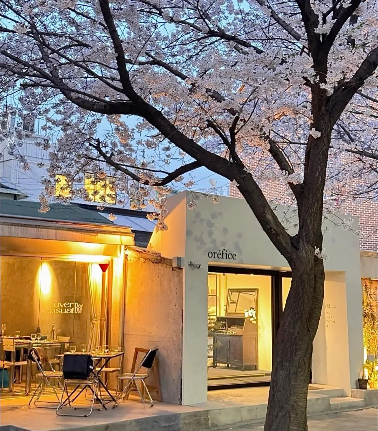 Những quán cà phê ở góc phố Noksapyeong - "con đường tơ lụa" anh đào ẩn mình giữa lòng Itaewon sầm uất 🌸☕️🍸