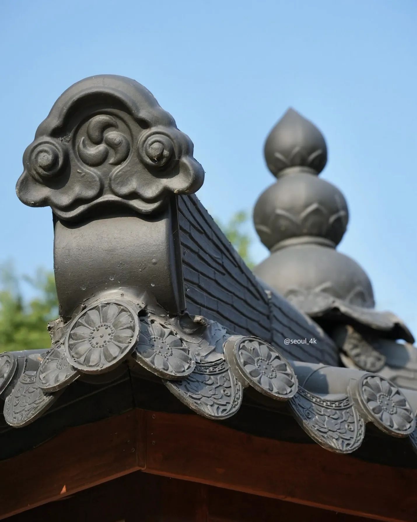 Khám Phá Phong Nạp Đồng-  Khu Vườn Thế Giới : Vườn Xanh Đậm Chất Thơ Giữa Lòng Seoul