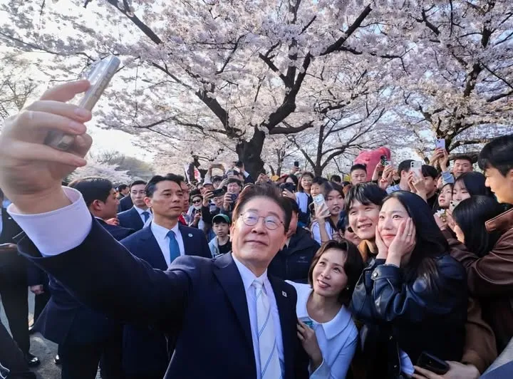 Đi ngắm hoa anh đào Yeouido lời quả ảnh selfie cùng vợ chồng Tổng thống dạo phố xuân