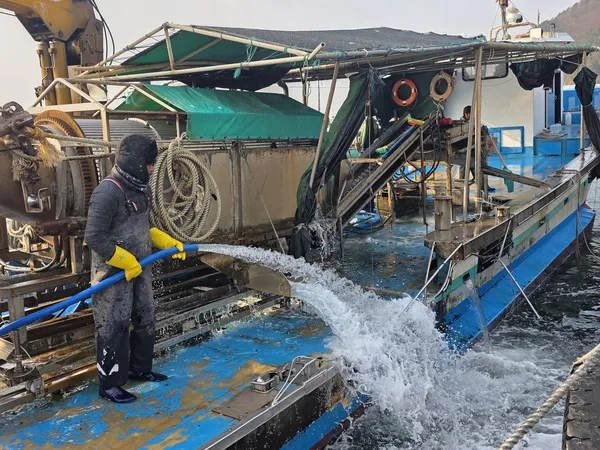 Vì sao ngành nuôi trồng thủy sản Hàn Quốc đồng loạt lên tiếng đòi cải thiện quy định tuyển lao động nhập cư