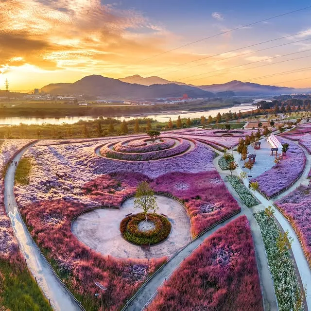 [Mùa hoa Hàn Quốc tháng 5] Công viên sinh thái Hatdeul Hapcheon – Thả mình giữa cánh đồng hoa mẫu đơn thảo lãng mạn