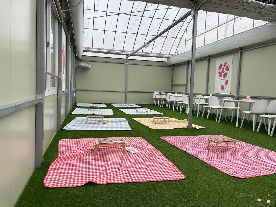ĐI HÁI DÂU TÂY MÀ CỨ NGỠ LẠC VÀO STUDIO CHỤP HÌNH TẠI HWASEONG! 🍓