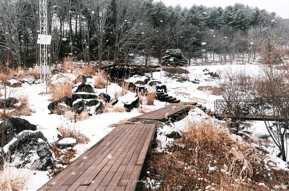 Du lịch Hàn mùa Đông: Khám phá “vườn địa đàng” mùa đông ở Jade Garden – Gangwon do