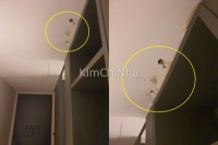 Phát hiện nấm mọc trên trần phòng khách sạn nổi tiếng ở Seoul, khách bức xúc lên mạng tố cáo
