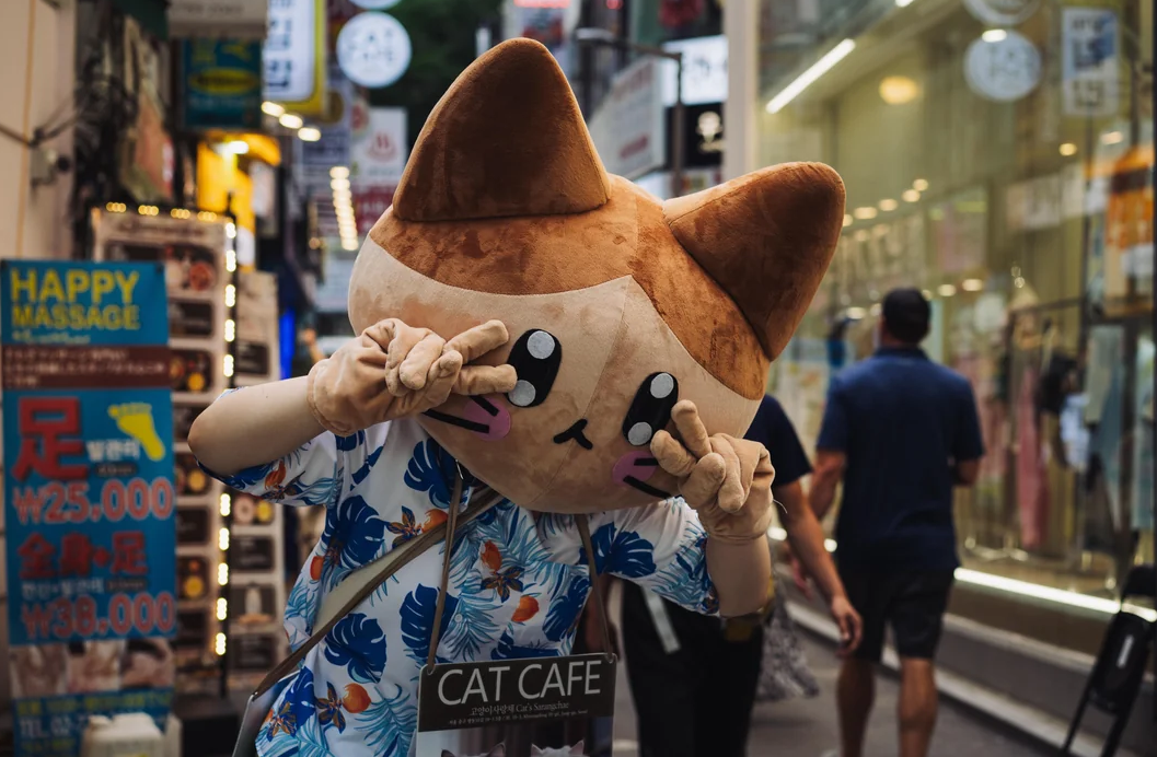 Hình chụp ở Myeong Dong (명동)