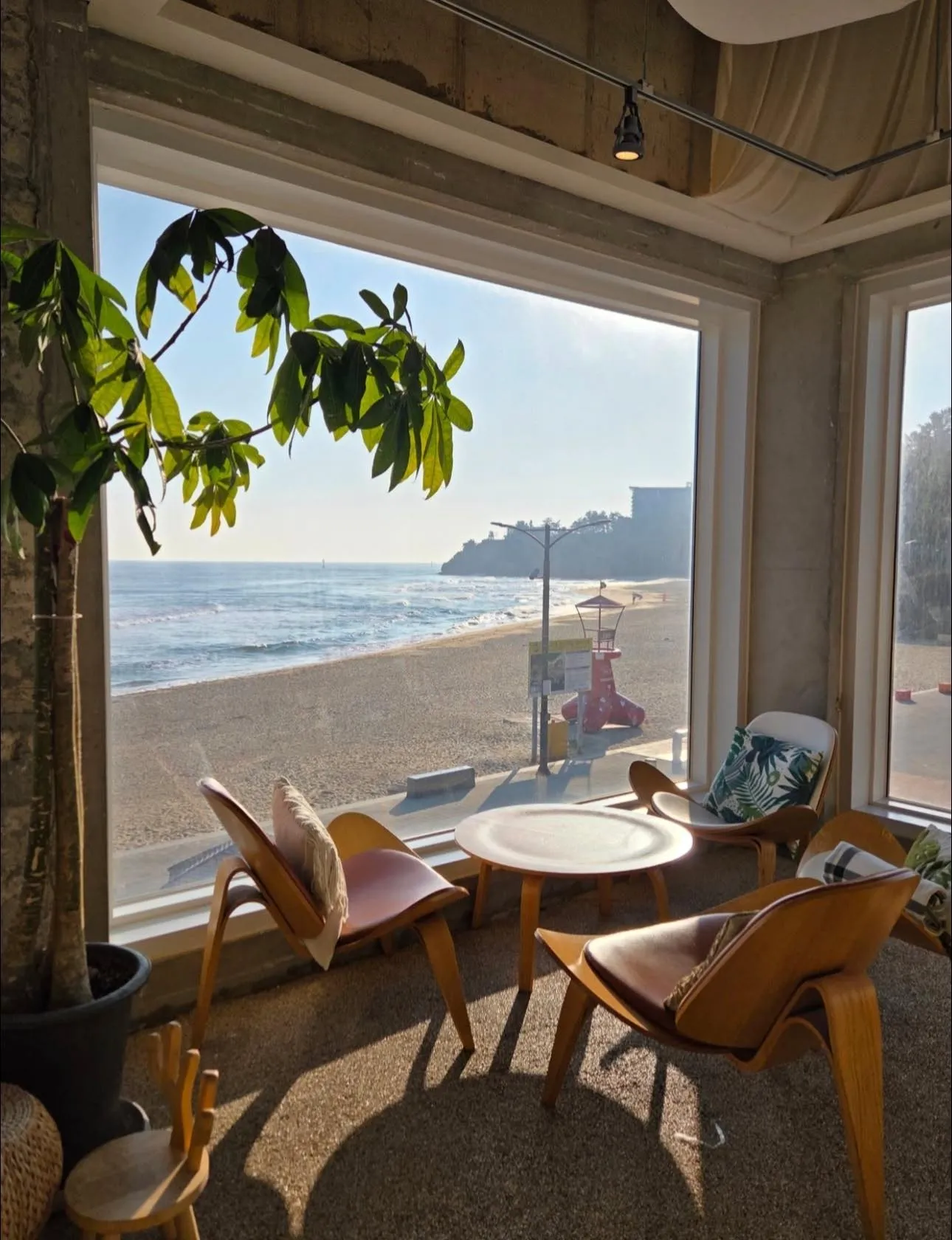 Một góc Cafe "triệu view" ngay sát biển Donghae: Nơi sóng vỗ sát hiên nhà 🌊☕