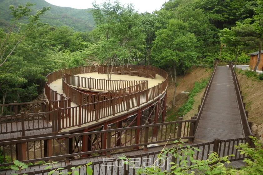 Tháng 5 chữa lành giữa thiên nhiên cổ tích ở Cheongdo: Điểm đến mùa xuân không nên bỏ lỡ tại Hàn Quốc