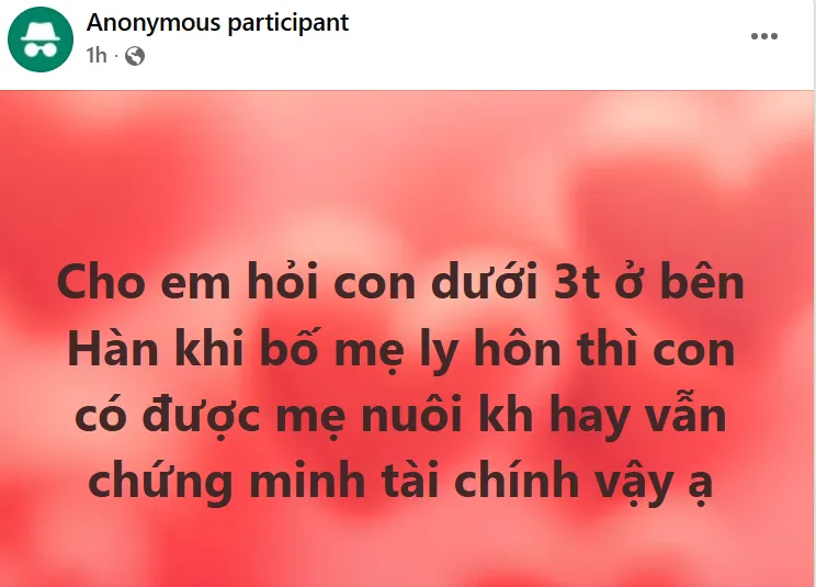 Ly hôn bên Hàn -> Phụ nữ Việt có được nuôi con không???