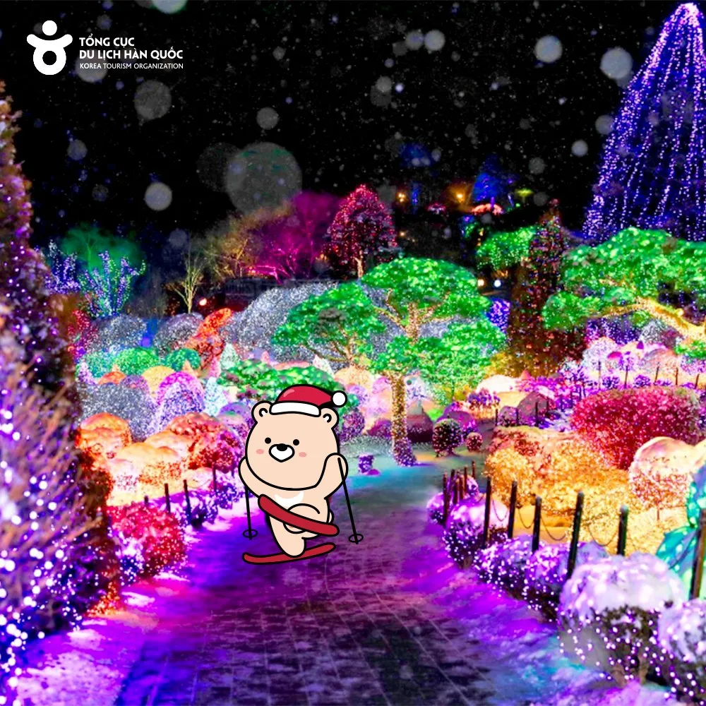 Mùa Đông Đi Đâu Ở Hàn? Nhìn Ngắm Garden of Morning Calm Lấp Lánh Đi