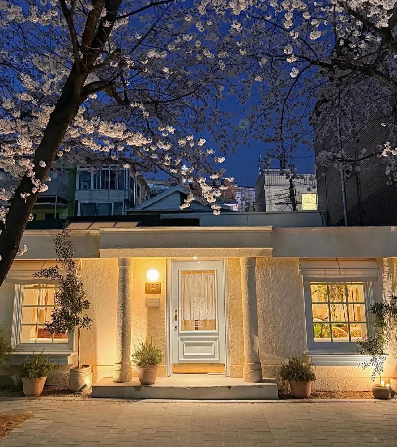 Những quán cà phê ở góc phố Noksapyeong - "con đường tơ lụa" anh đào ẩn mình giữa lòng Itaewon sầm uất 🌸☕️🍸