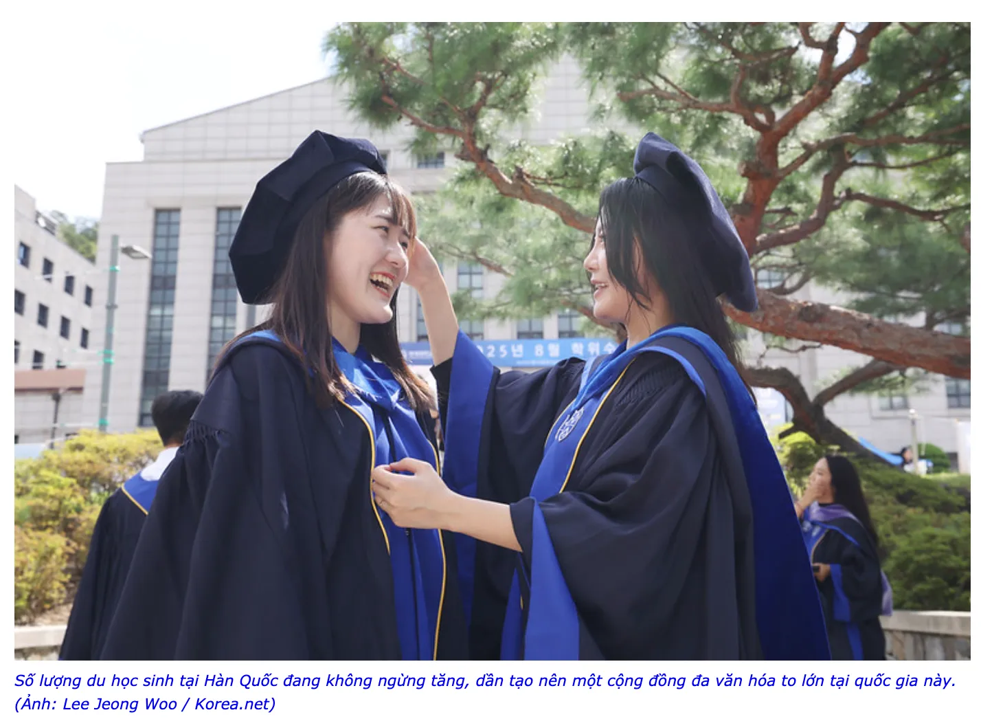 Bức tranh tổng quan về du học Hàn Quốc dành  cho học sinh, sinh viên quốc tế 