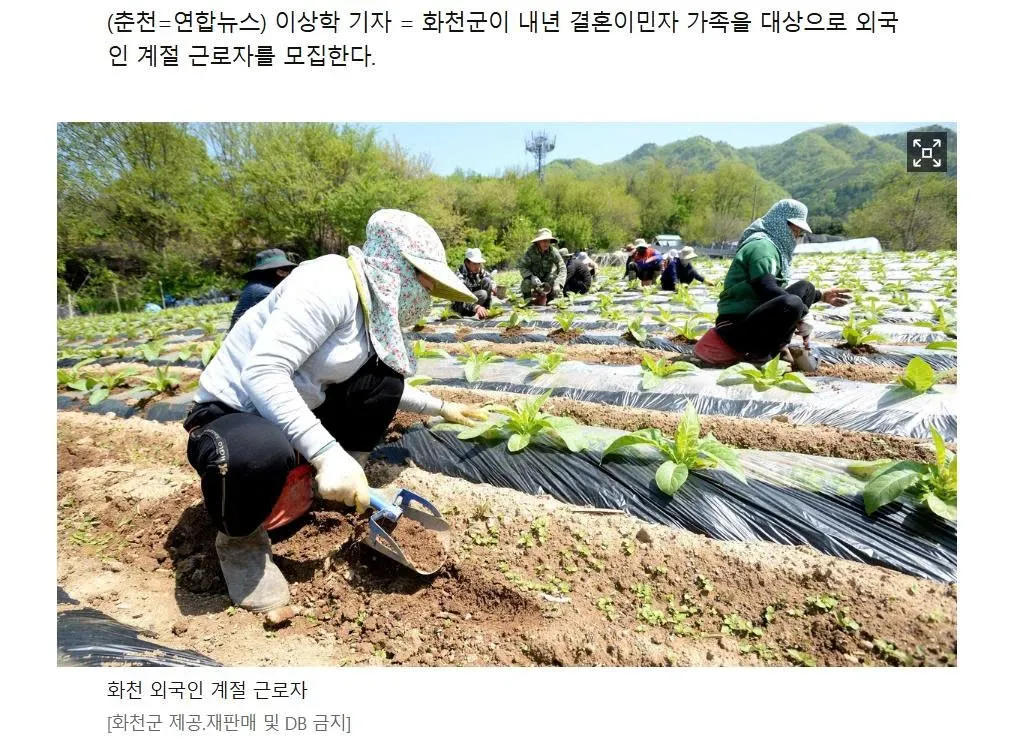 Hàn Quốc mở rộng chương trình lao động thời vụ cho người thân của phụ nữ nhập cư