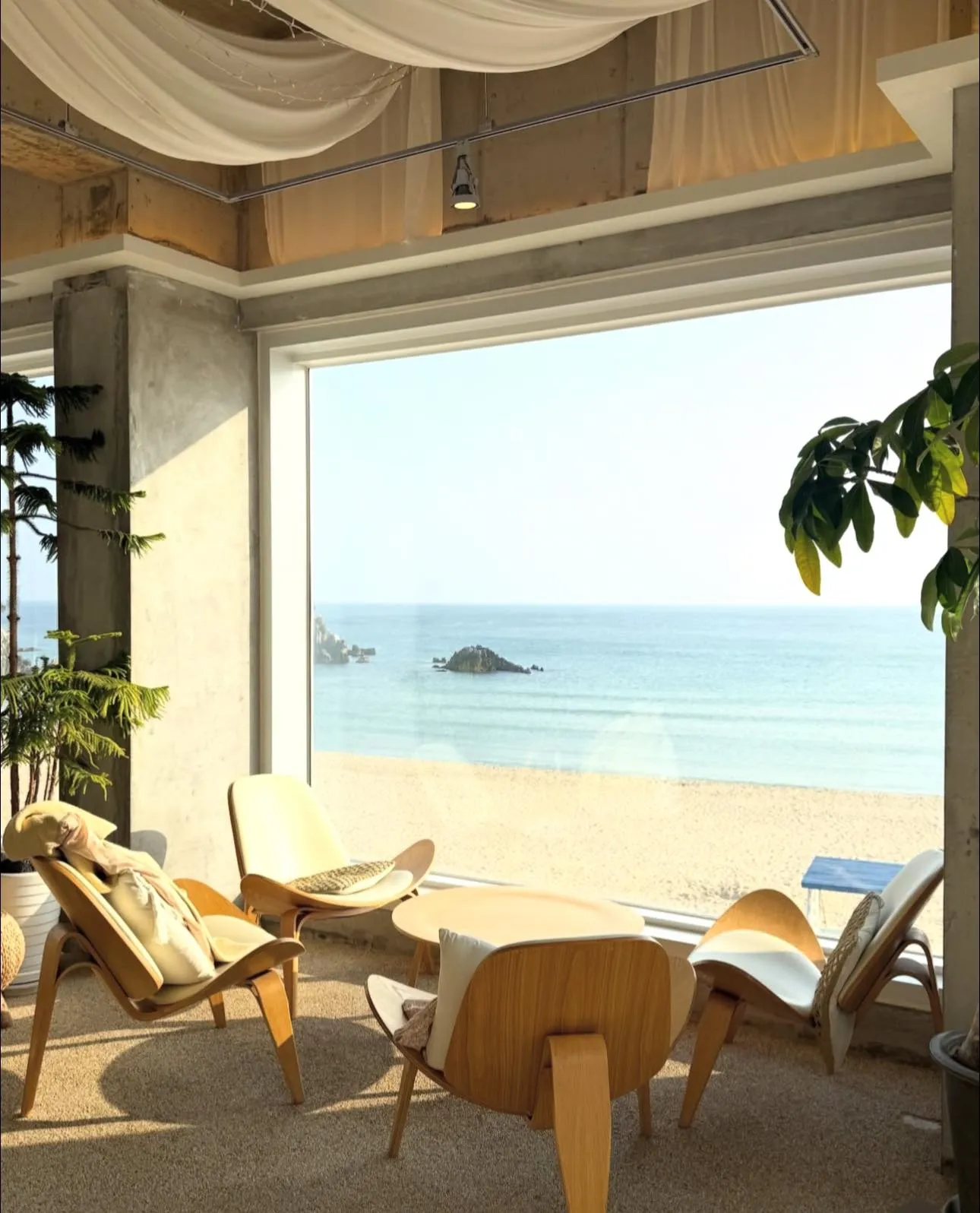 Một góc Cafe "triệu view" ngay sát biển Donghae: Nơi sóng vỗ sát hiên nhà 🌊☕