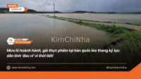 Mưa lũ hoành hành, giá thực phẩm tại hàn quốc leo thang kỷ lục: dân tình 'đau ví' vì thời tiết!