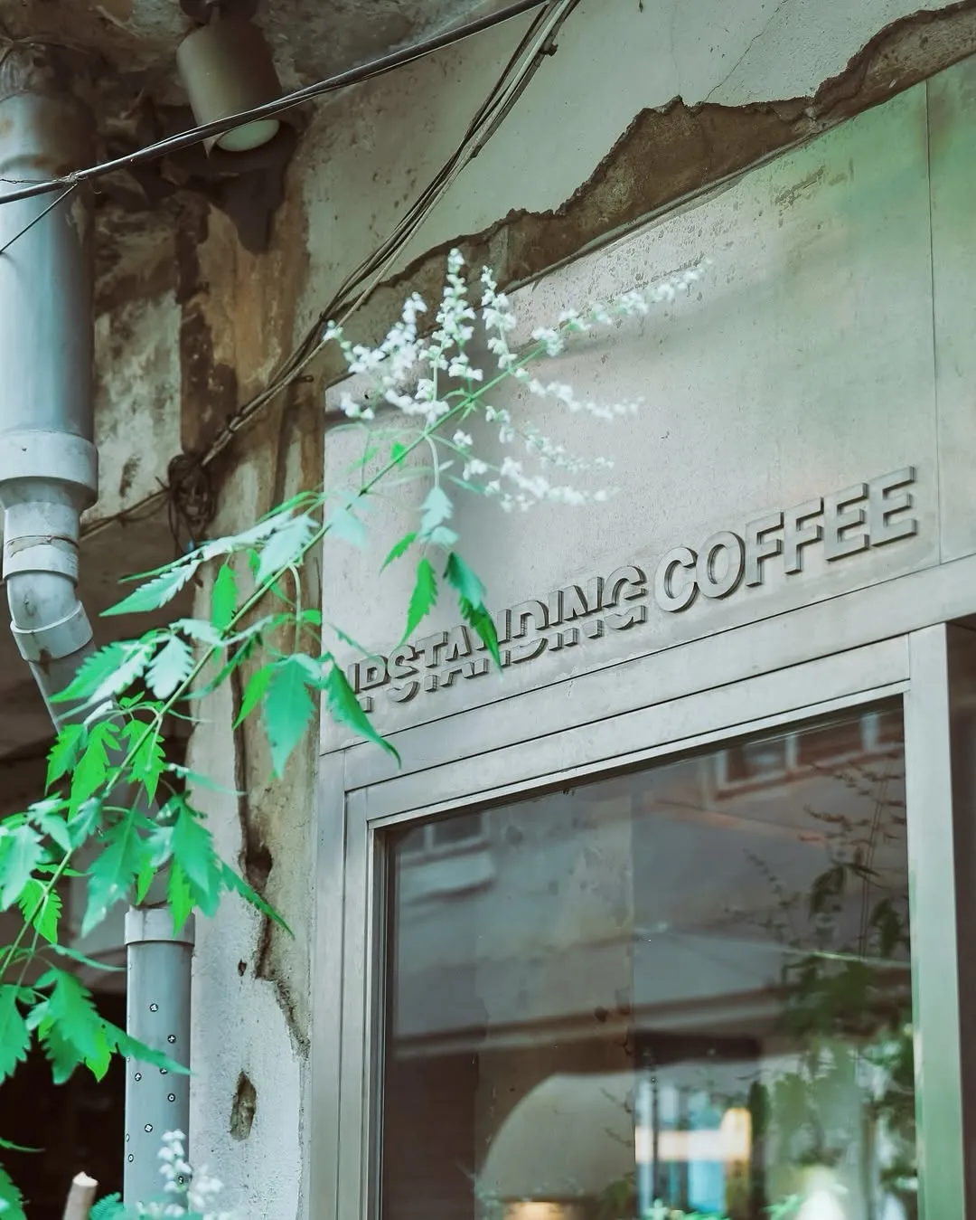 UPSTANDING COFFEE - GÓC NHỎ "CHỮA LÀNH" VÀ CÀ PHÊ ĐẶC SẢN TẠI HAEBANGCHON ☕📖