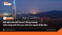 Mới đặt chân đến Seoul? Đừng hoảng! Cẩm nang sinh tồn cực chất cho người đi lần đầu