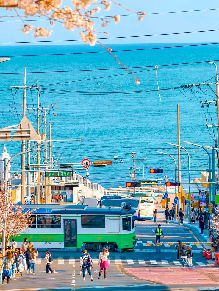 Cheongsapo Station: Trạm dừng chân của những thước phim điện ảnh ven biển 🌊 