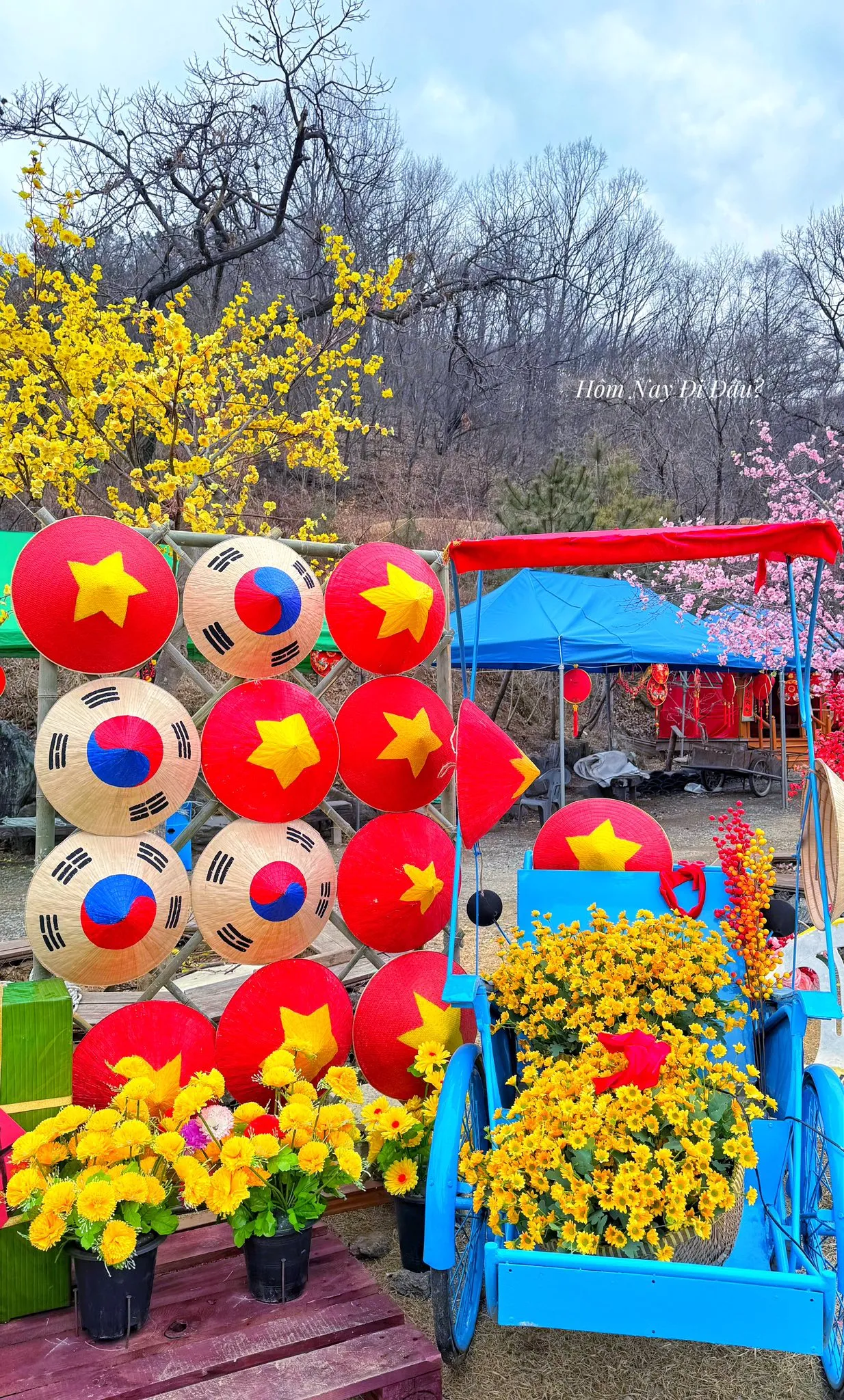 Đón Tết Việt Ở Hàn tại chùa Cheonan, ấm lòng những người con xa xứ 