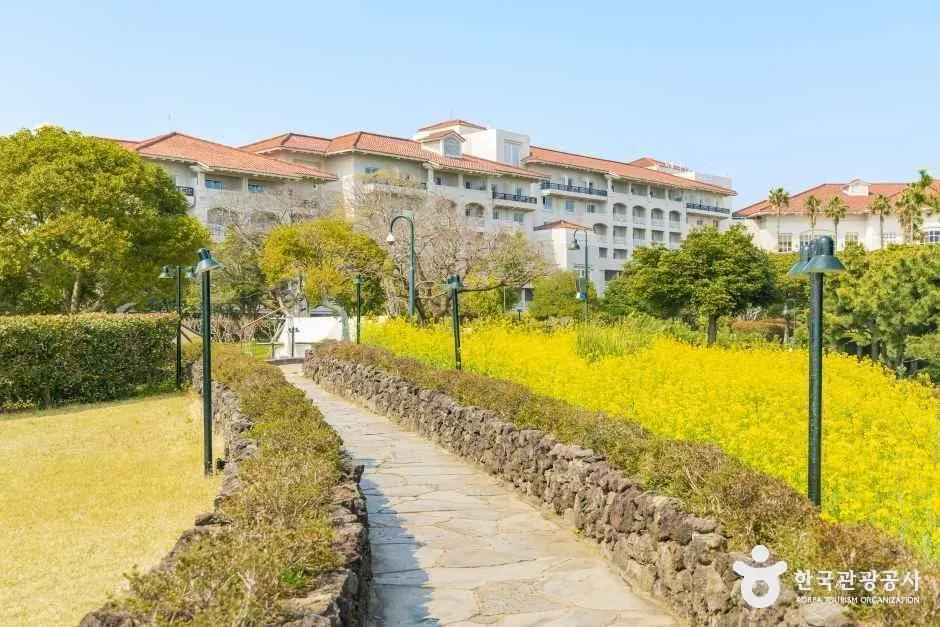 Đồi Shiri ở Jeju: Góc ngắm biển nổi tiếng xuất hiện trong bộ phim huyền thoại Hàn Quốc