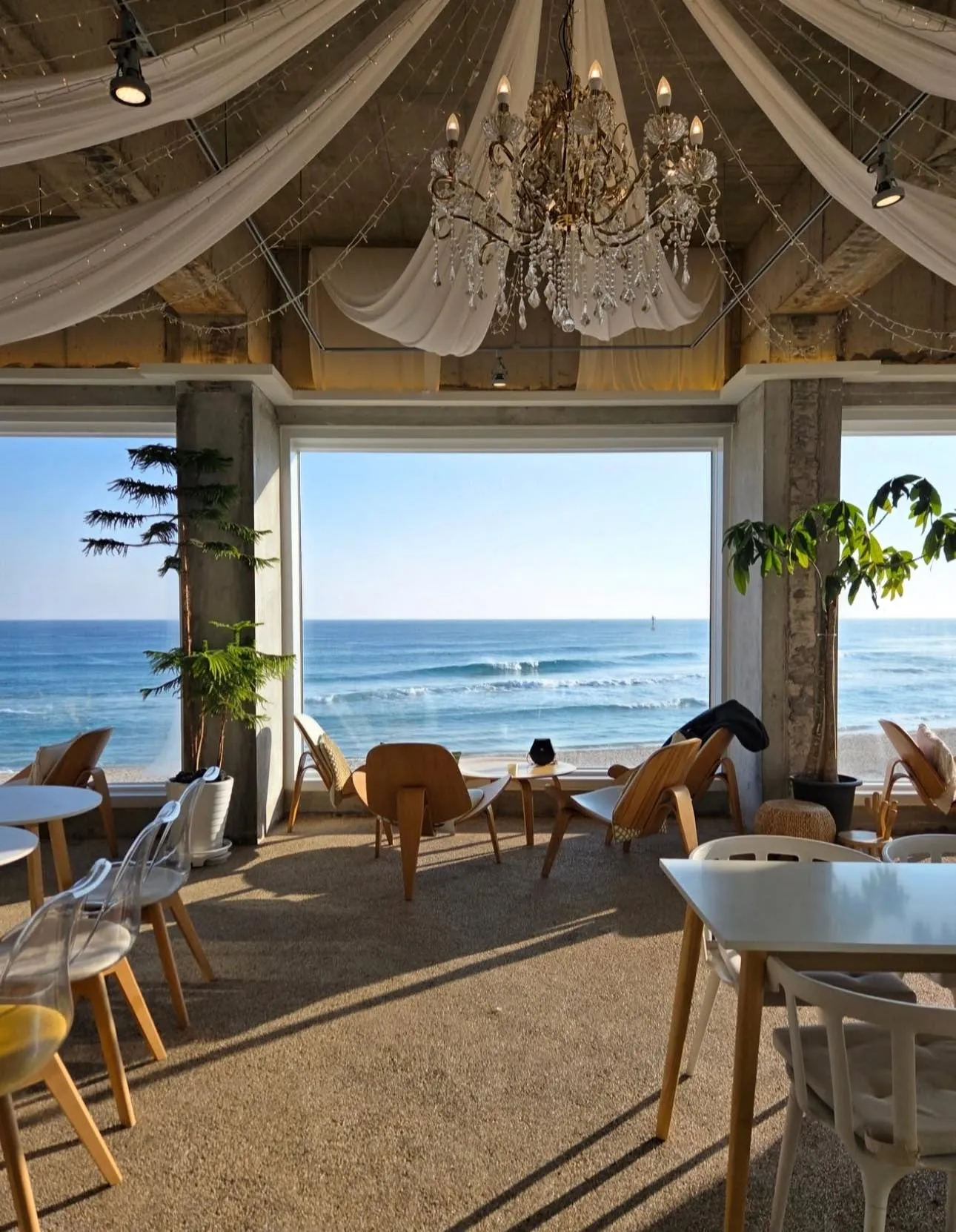 Một góc Cafe "triệu view" ngay sát biển Donghae: Nơi sóng vỗ sát hiên nhà 🌊☕