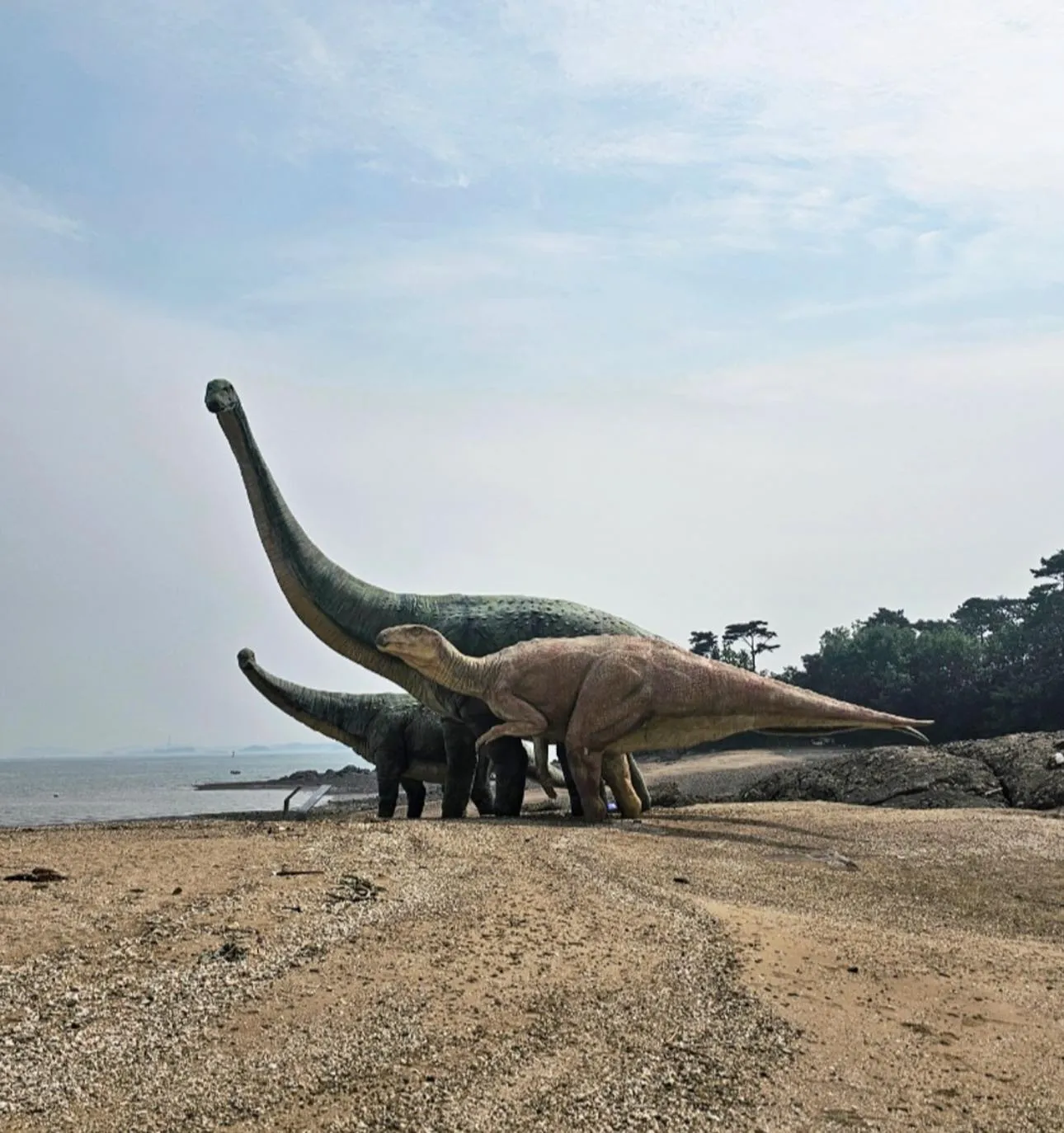 Khám phá dấu chân khủng long thật ngay bên bờ biển Boryeong 🦕🌊