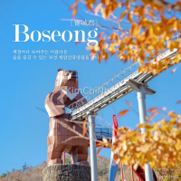 "Liệu Pháp Vận Động": Rừng Vui Chơi Jaeamsan, Boseong