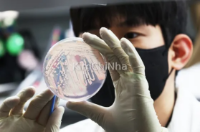 Mùa hè khắc nghiệt tại Hàn Quốc: Nắng nóng, mưa lớn, ngộ độc thực phẩm khiến người kinh doanh ăn uống điêu đứng