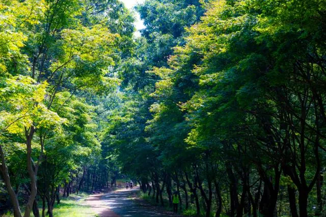 Vườn thực vật Anyang của Đại học Quốc gia Seoul chính thức áp dụng hình thức đặt lịch trước từ tháng 3