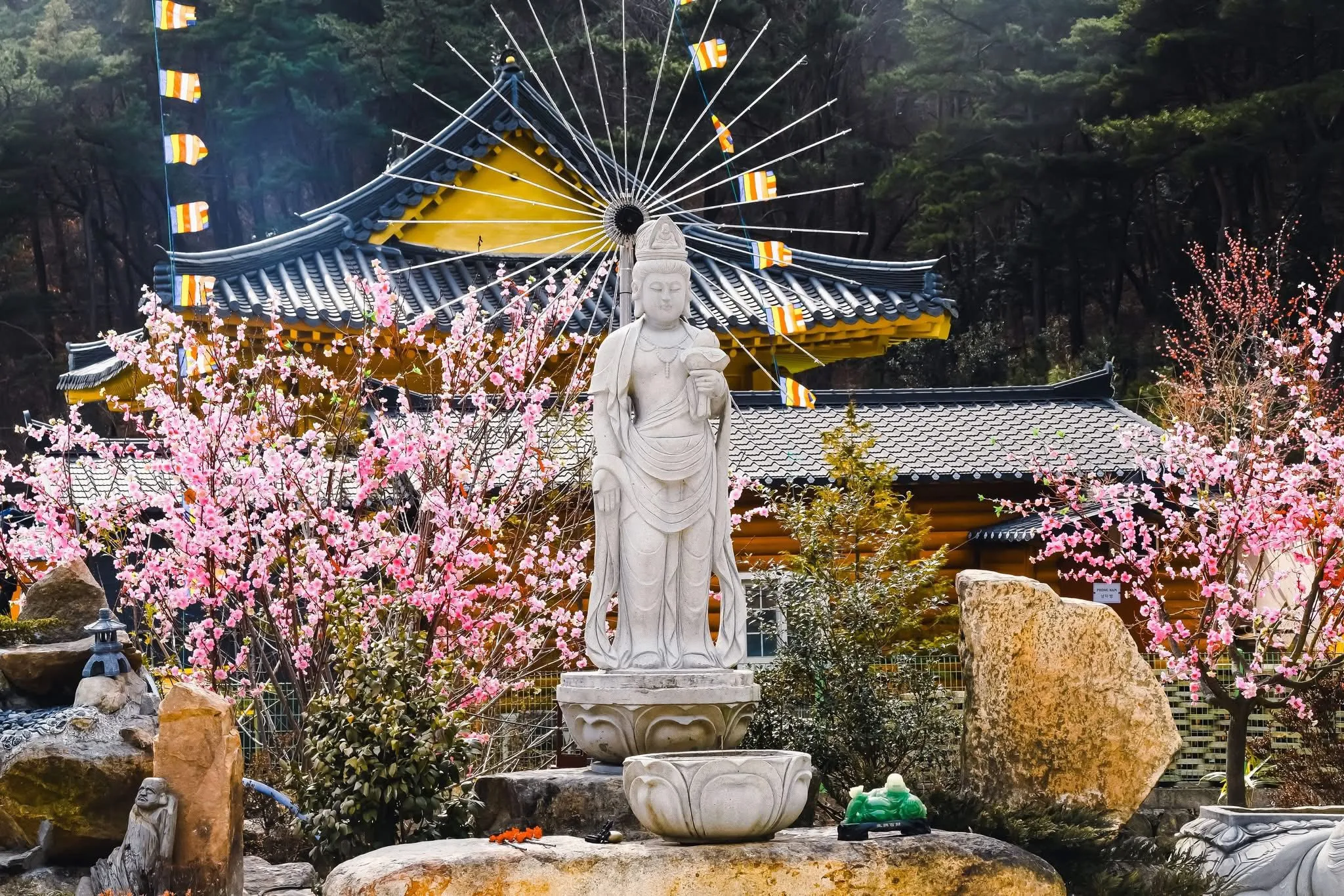Chùa Việt tại Hàn: Chùa Hải Nguyện (Yangsan) - nơi tìm về cội nguồn và đón xuân an lành 🏮🙏
