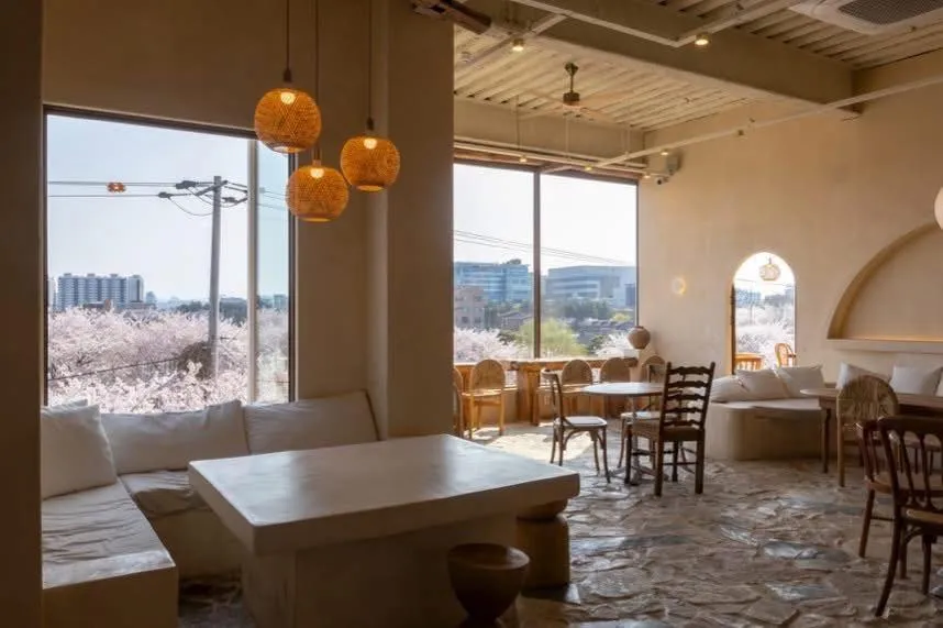 [CHECK-IN] DONASDAY SUWON: QUÁN CAFE "TRONG MƠ" GIỮA THIÊN ĐƯỜNG ANH ĐÀO HWANGGUJICHEON 🌸☕