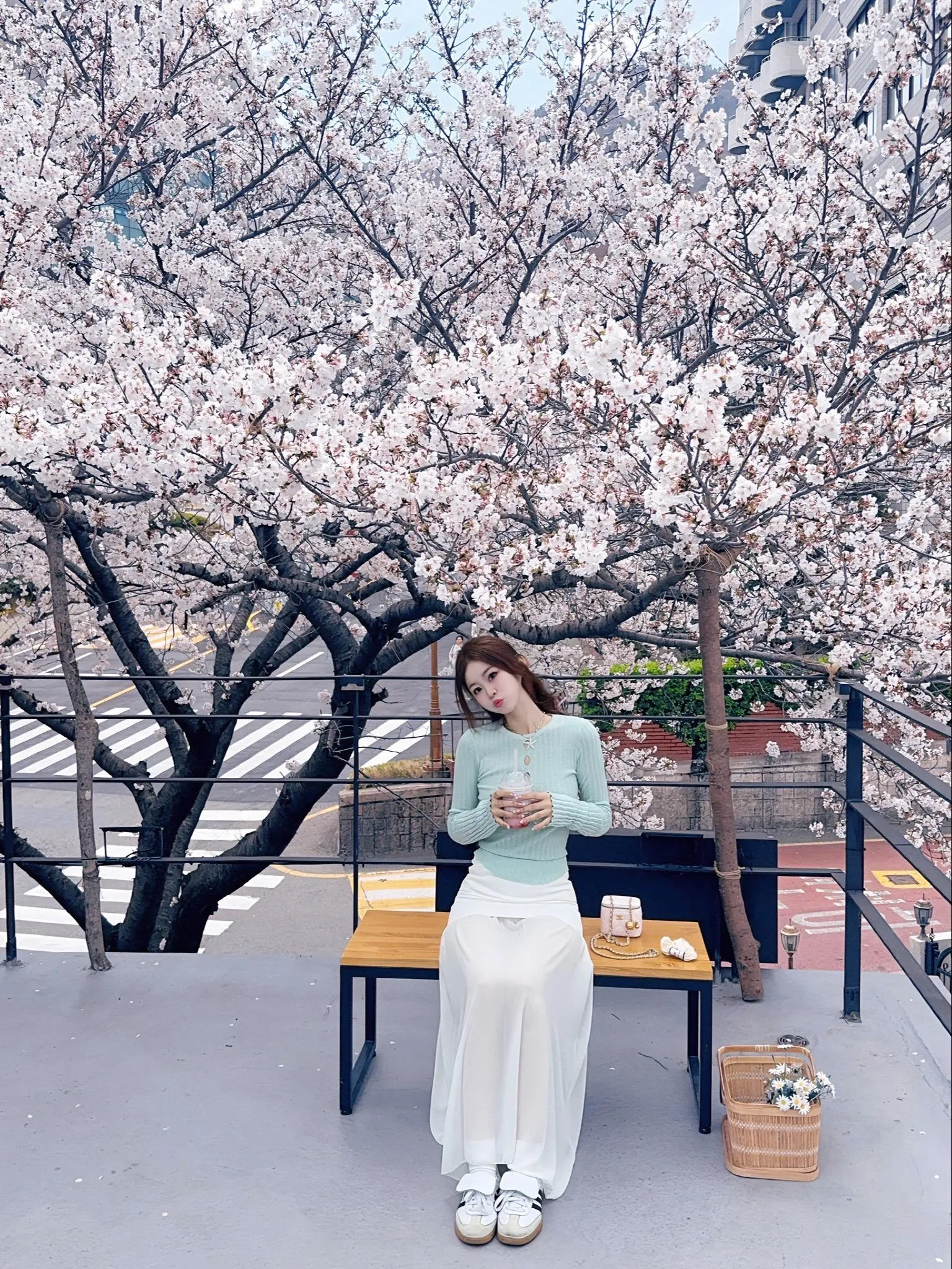 🌸 Sẵn sàng cho mùa hoa anh đào 2026 ở Seoul!!