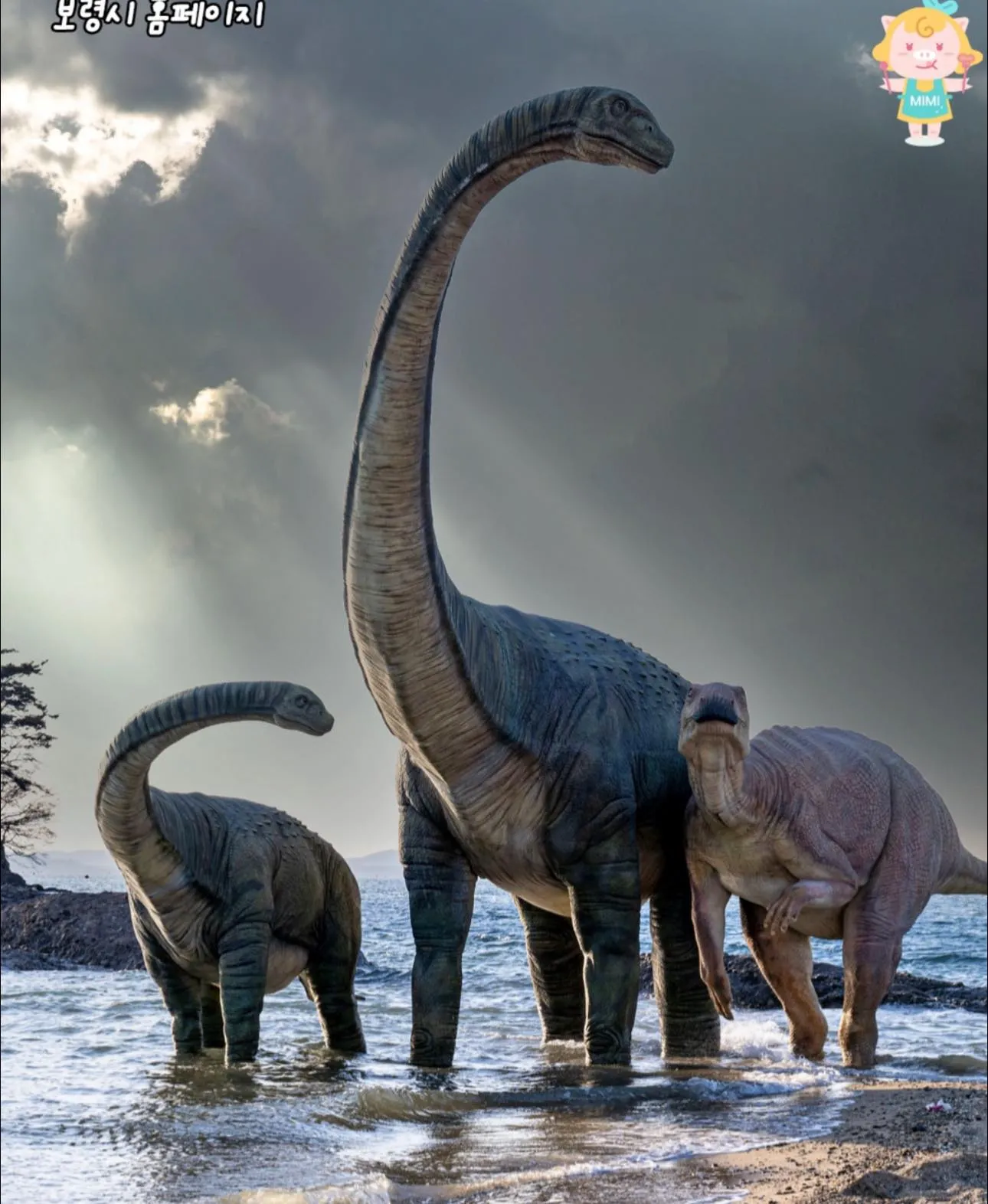 Khám phá dấu chân khủng long thật ngay bên bờ biển Boryeong 🦕🌊