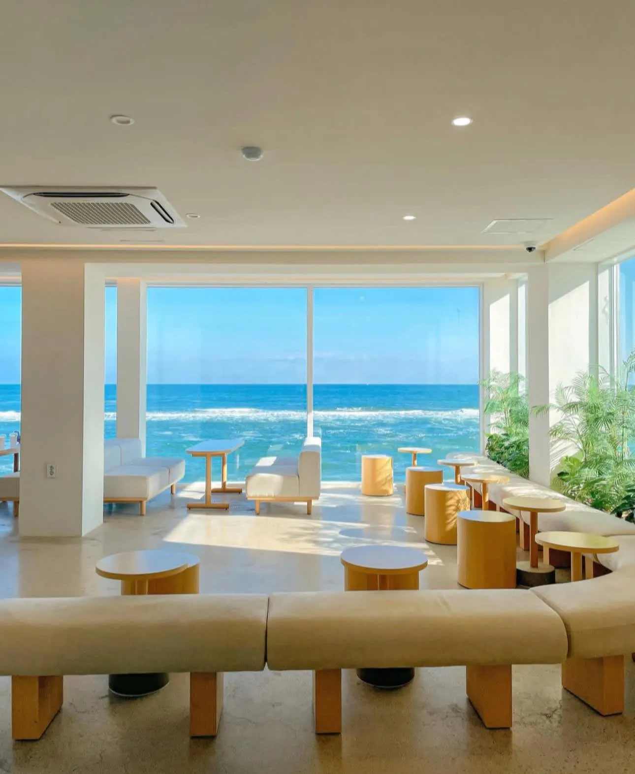 Offing House Cafe: Góc nhỏ "healing" với view biển xanh ngắt tại Gangneung 🌊☕