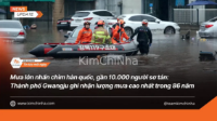 Mưa lớn nhấn chìm hàn quốc, gần 10.000 người sơ tán: Thành phố Gwangju ghi nhận lượng mưa cao nhất trong 86 năm