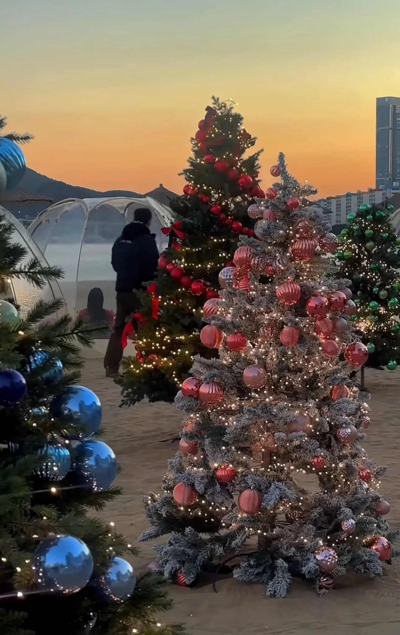 LỄ HỘI GIÁNG SINH RỰC RỠ TẠI BÃI BIỂN GWANGALLI – MỘT MÙA ĐÔNG NHƯ CỔ TÍCH! ✨🎄