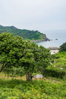 Hòn Đảo Hoang Sơ Ít Người Biết Của Incheon