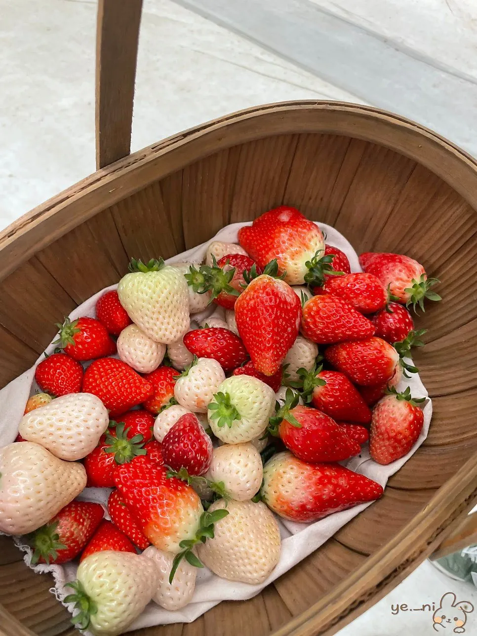 ĐI HÁI DÂU TÂY MÀ CỨ NGỠ LẠC VÀO STUDIO CHỤP HÌNH TẠI HWASEONG! 🍓