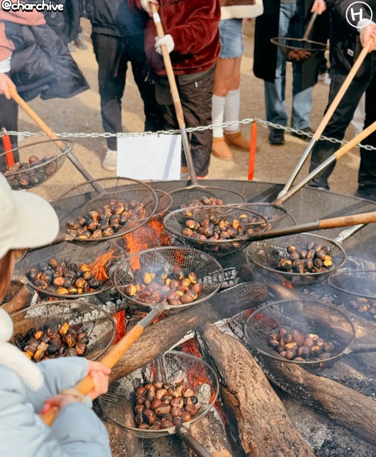 Lễ hội hạt dẻ nướng Gongju: Sưởi ấm chiếc bụng đói bằng hương vị ngọt ngào nhất xứ Hàn 🌰🔥