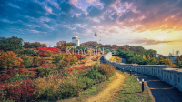 Lạc Bước Vào "Châu Âu" Thu Nhỏ Tại Rừng Seoul