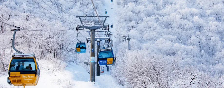 Balwangsan Cable Car & Yongpyong Resort: Trải Nghiệm Mùa Đông Hùng Vĩ Từ Seoul