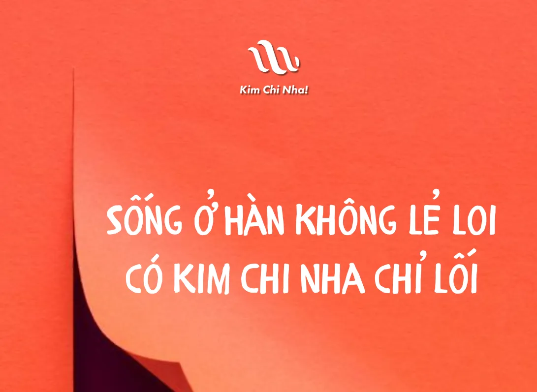 Với 100,000 won, bạn nên đầu tư chứng khoán Hàn Quốc thế nào hôm nay? (6/11/2025)