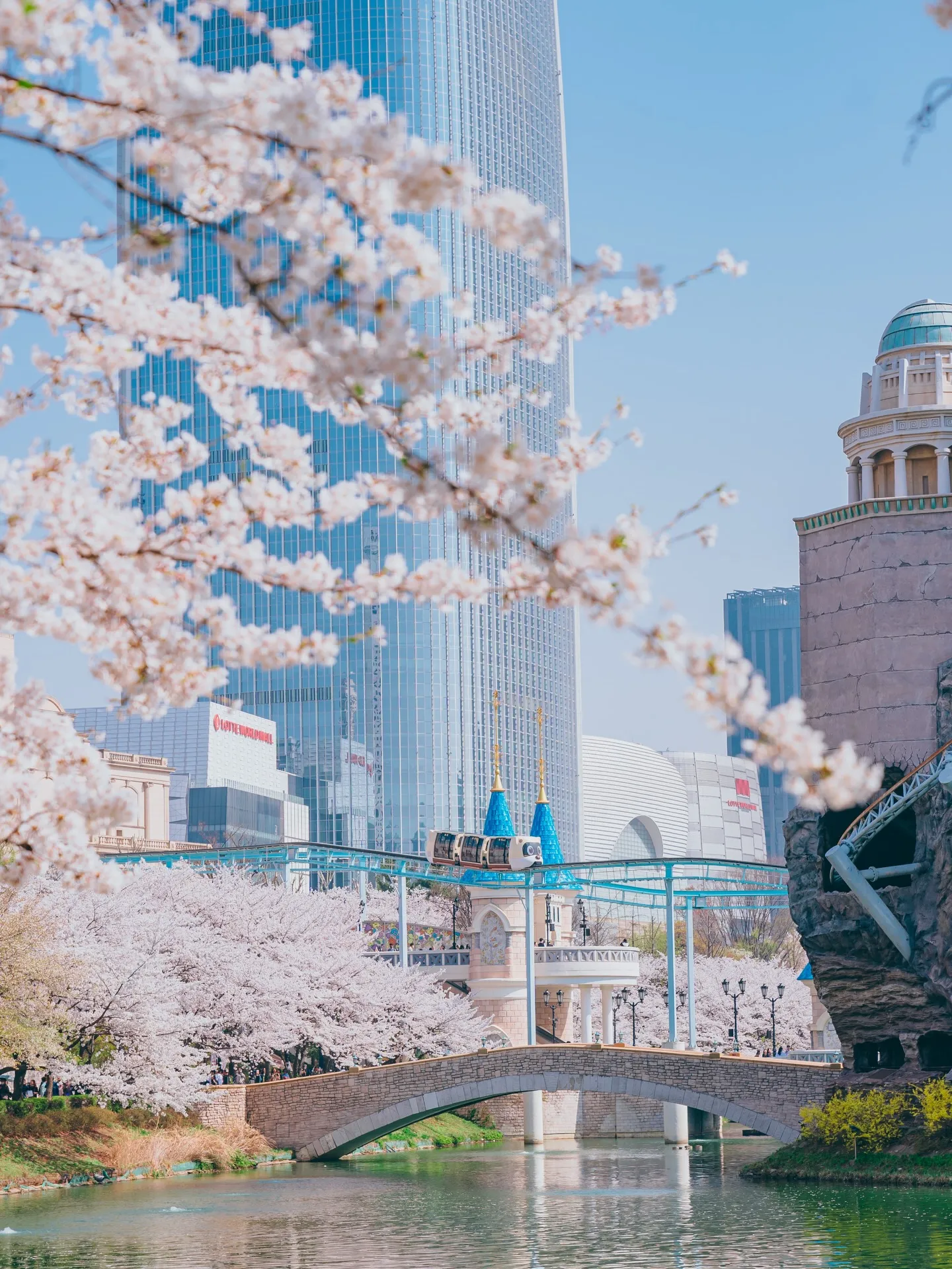 Lễ hội hoa anh đào hồ Seokchon 2026 – Khi nghệ thuật và ánh sáng "thắp sáng" mùa xuân Seoul
