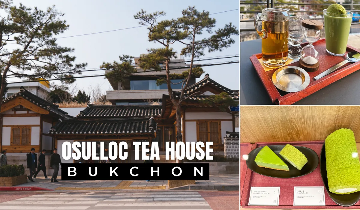 Osulloc tea house Bukchon – Thưởng trà Jeju giữa lòng làng cổ nghìn năm tuổi 🍵