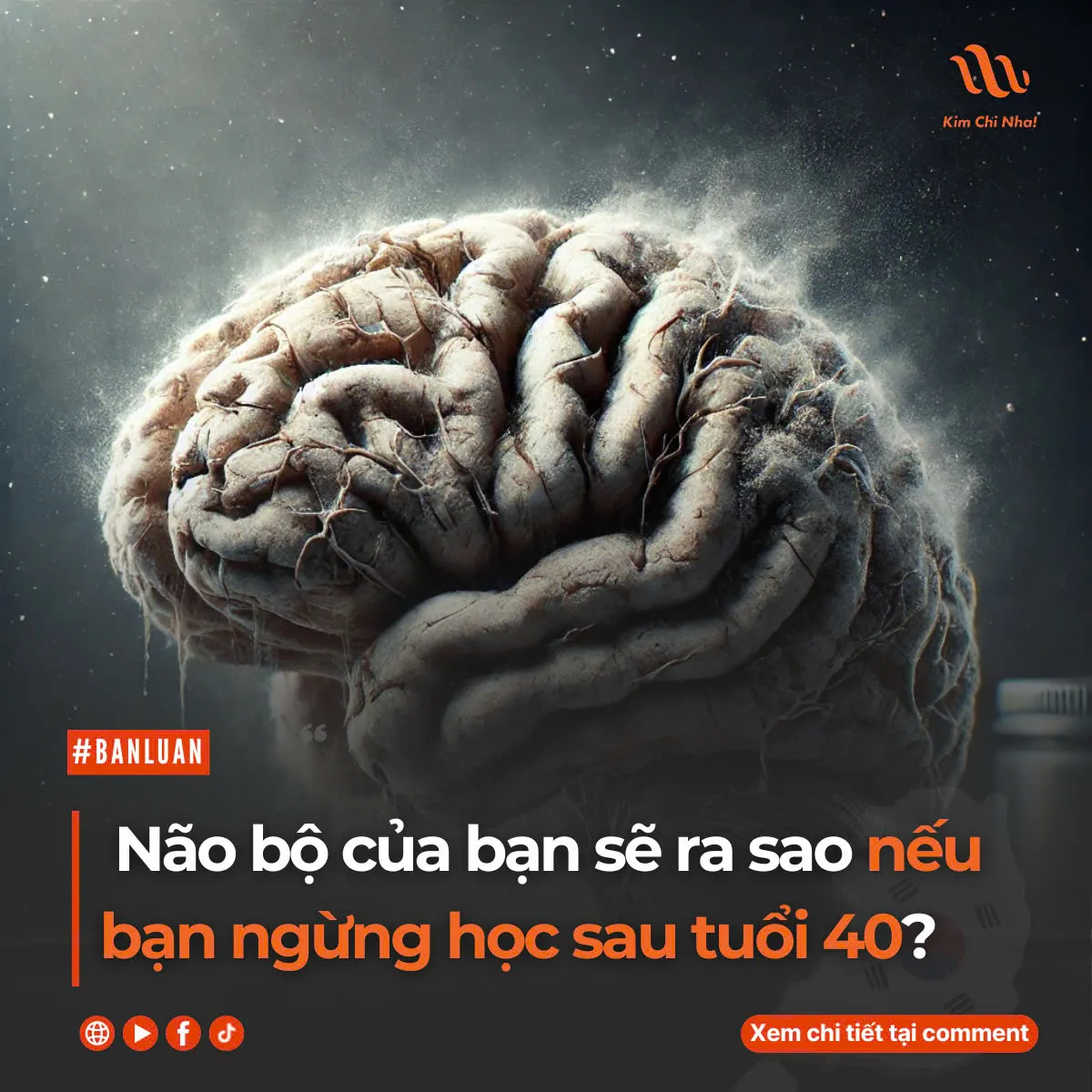 Não bộ của bạn sẽ ra sao nếu bạn ngừng học sau tuổi 40?