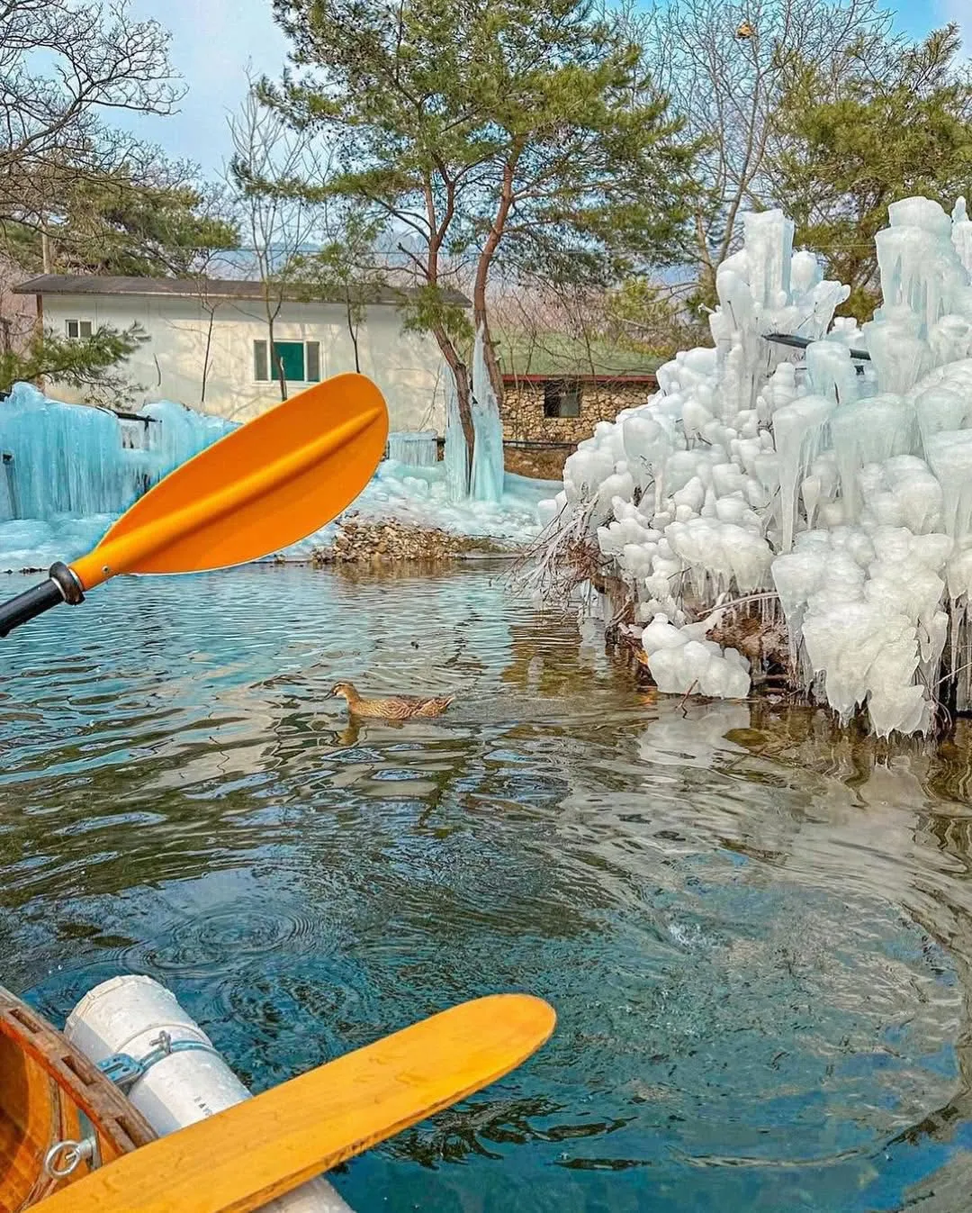 Gukmin Healing Park –Vương Quốc Băng Gyeongju: Nơi mùa đông hiện hữu ngay trước mắt
