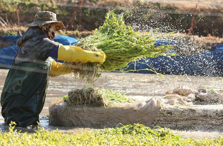 Hàn Quốc bác bỏ lo ngại mở rộng lao động giá rẻ qua chính sách tuyển dụng lao động nước ngoài mới