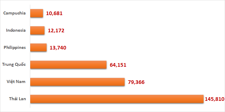 Thái “vượt” Việt Nam thành quốc gia có lượng người cư trú bất hợp pháp nhiều nhất tại Hàn Quốc